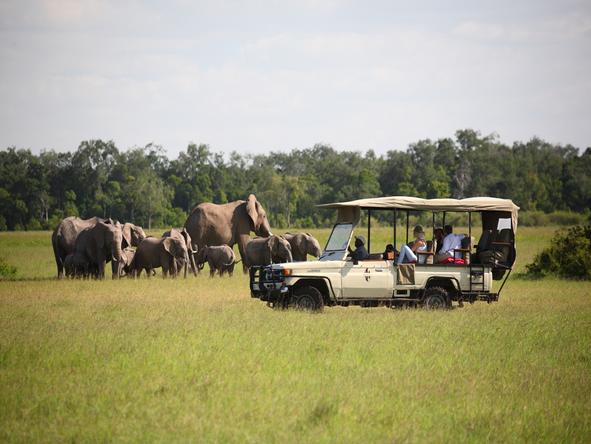 Olonana - Game Drive